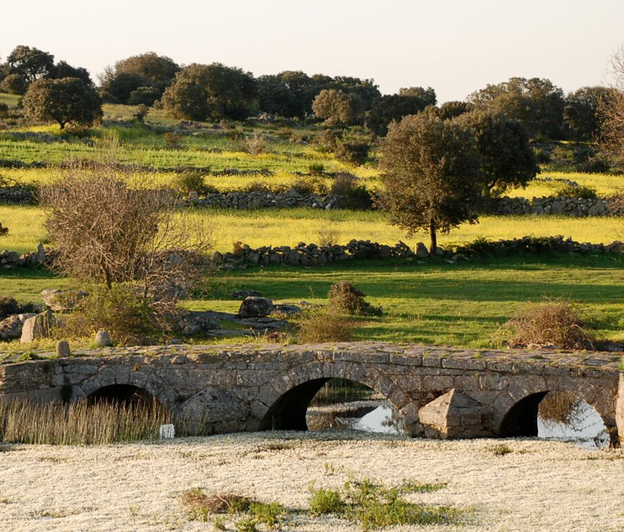 Calzada mirandesa