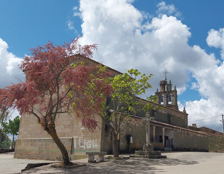 Iglesia_de_San_martín
